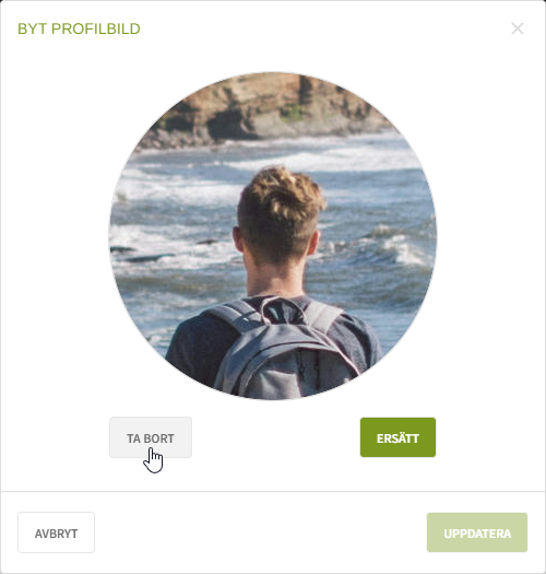 Fig. 3: Ta bort bild